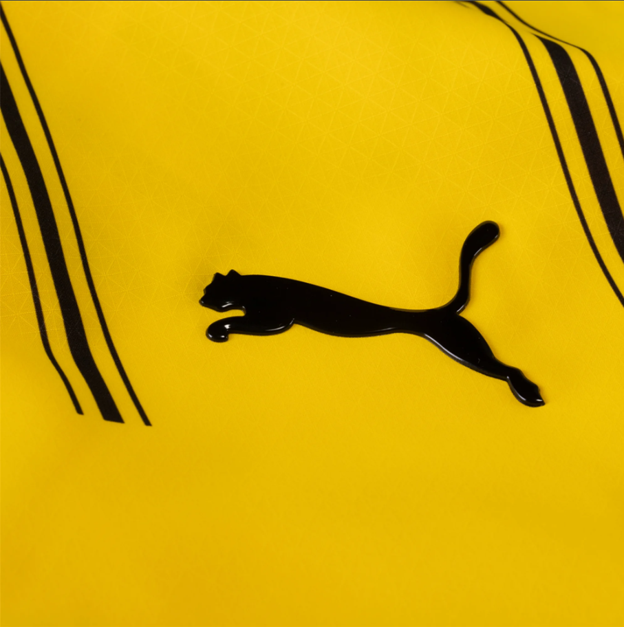 Borussia Dortmund Home Shirt 2024/25 (PLAYER VERSION)