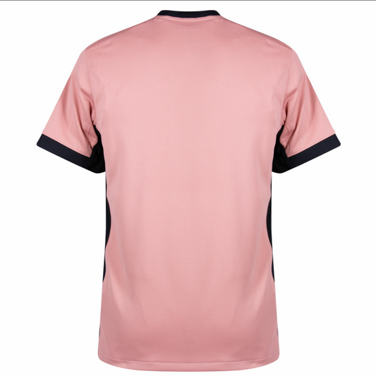 Paris Saint Germain Third Shirt 2024/25