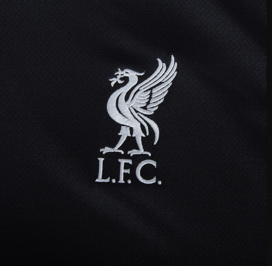 Liverpool FC 2024/25 AWAY KIT