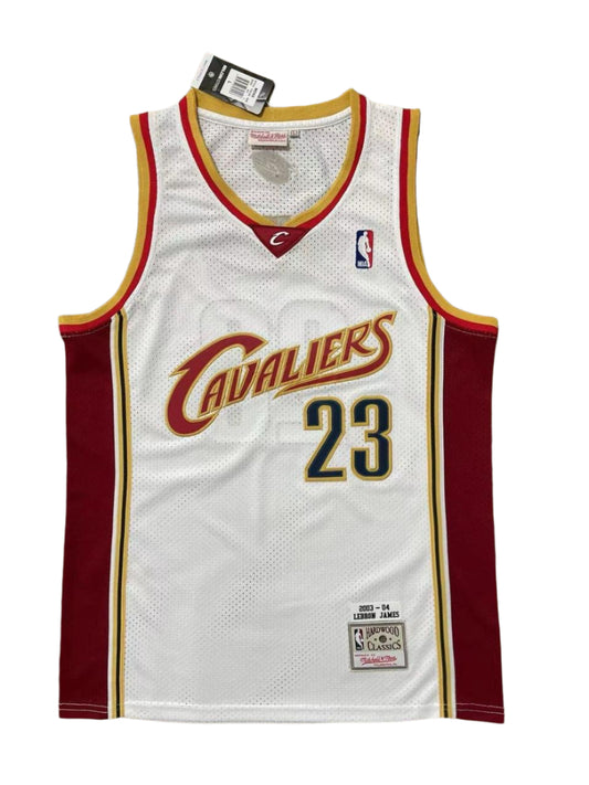 LeBron James Cleveland Cavaliers NBA (White and Red)