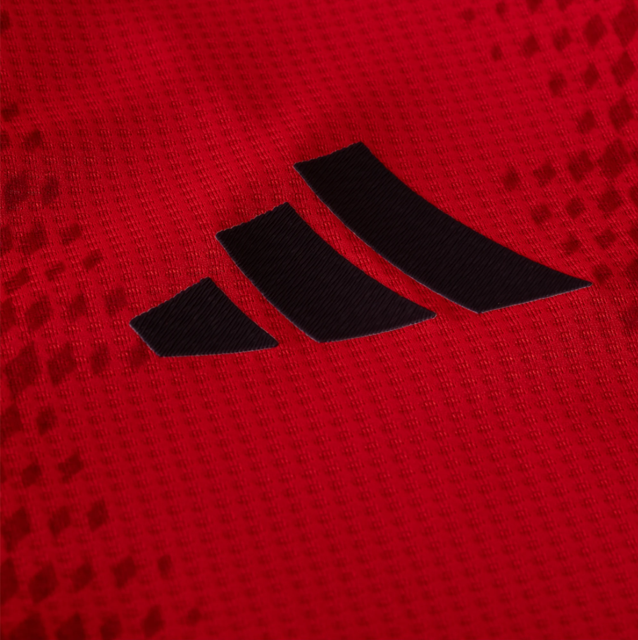 Bayern München Home Shirt 2024/25 (PLAYER VERSION)