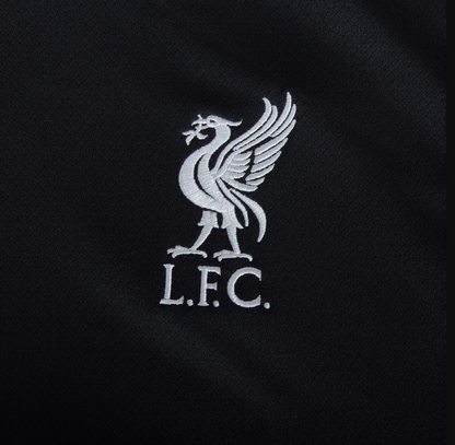 Liverpool FC 2024/25 AWAY KIT