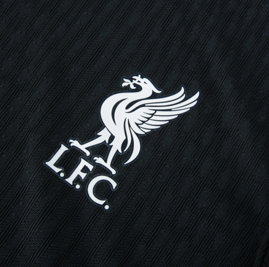Liverpool FC 2024/25 AWAY KIT (Player Version)