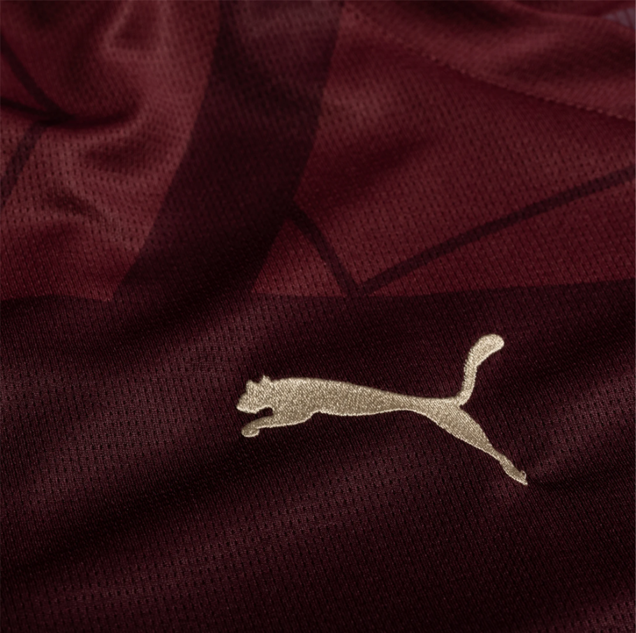 Manchester City FC 2024/25 THIRD KIT