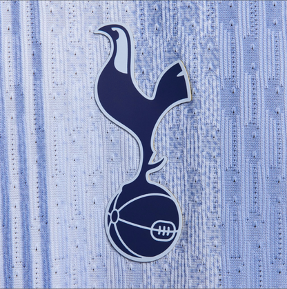 Tottenham FC 2024/25 AWAY KIT (Player Version)