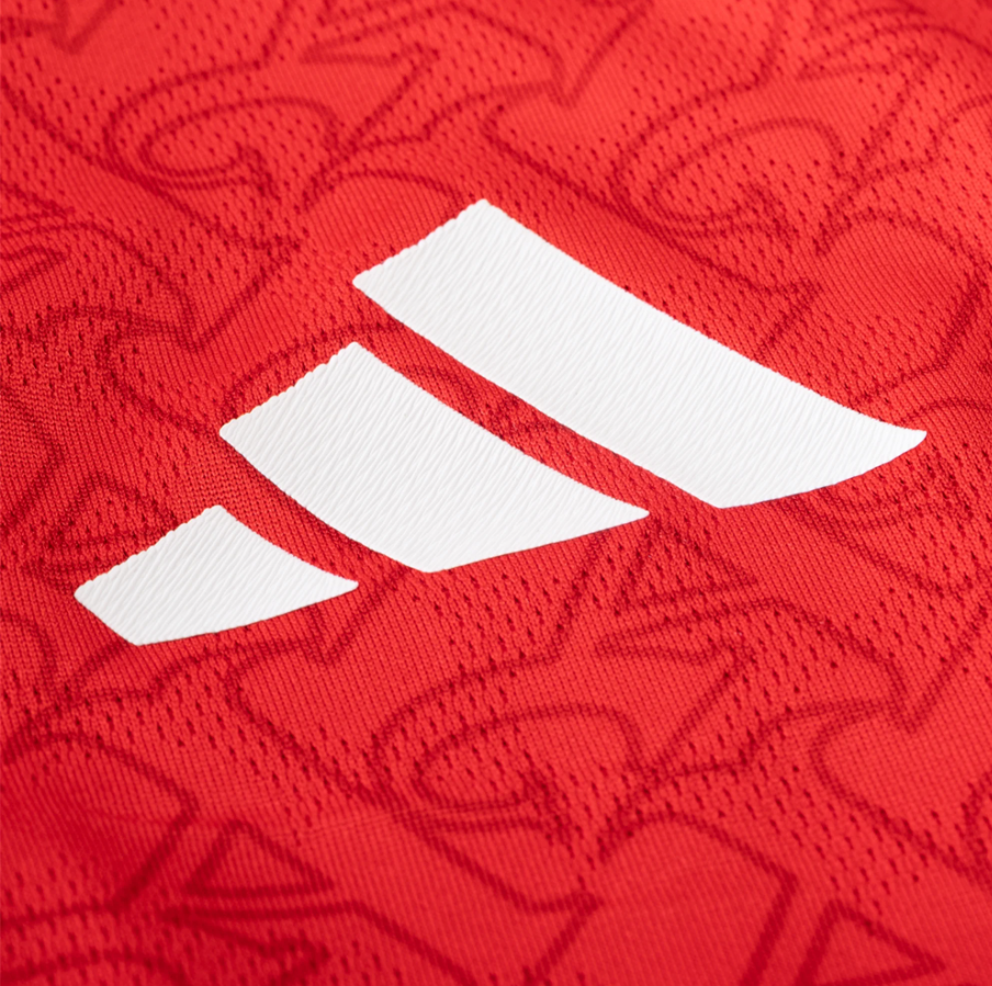 Arsenal FC 2025/26 Home Kit (Player Version)